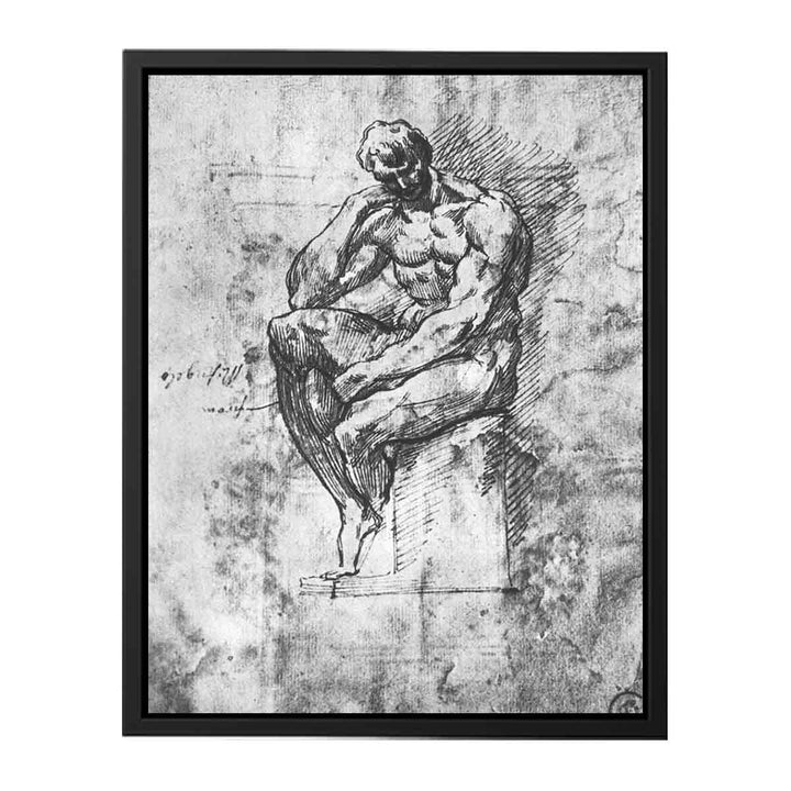 Study of a Man 1510-11