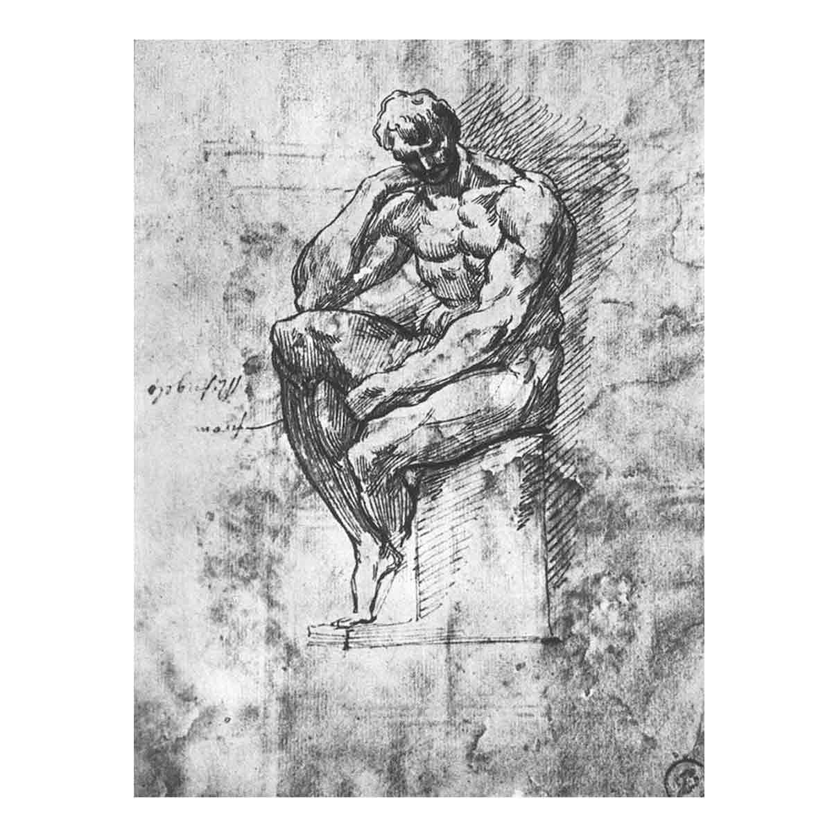 Study of a Man By Michelangelo Buonarroti
