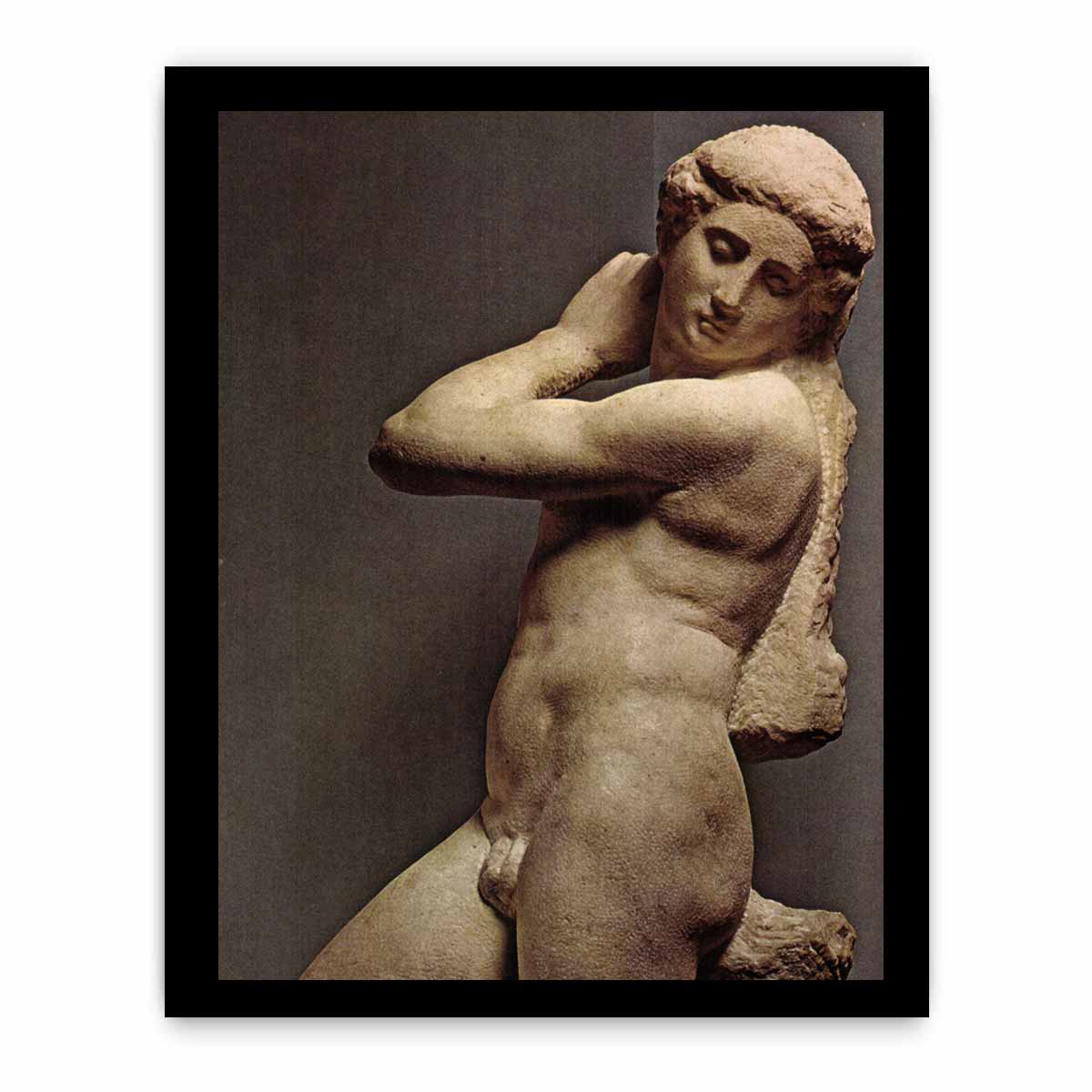 Michelangelo Buonarroti's David-Apollo