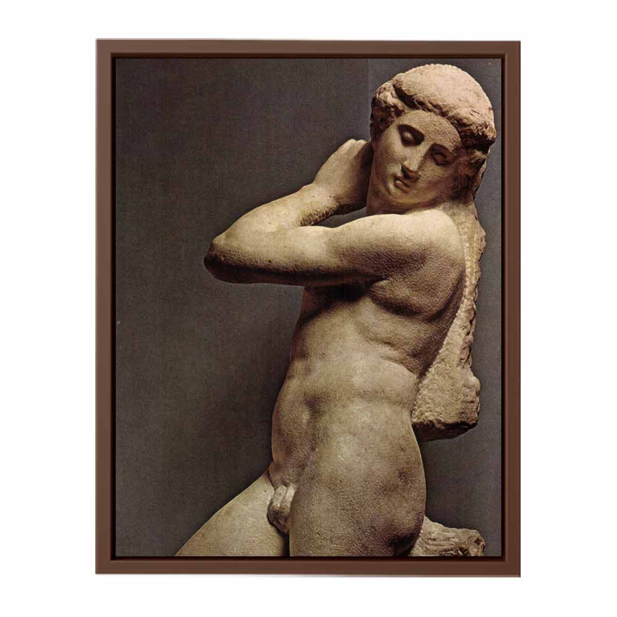 Michelangelo Buonarroti's David-Apollo