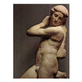 Michelangelo Buonarroti's David-Apollo