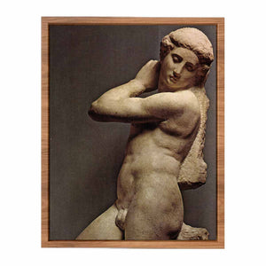 Michelangelo Buonarroti's David-Apollo