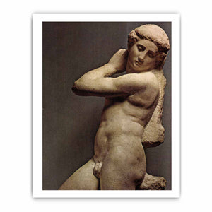 Michelangelo Buonarroti's David-Apollo
