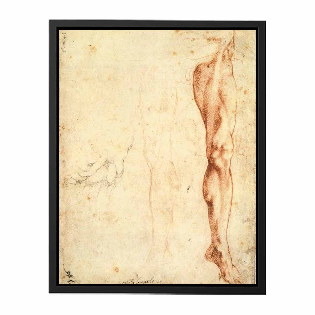Study of a Left Male Leg (verso), 1515-20 By Michelangelo Buonarroti