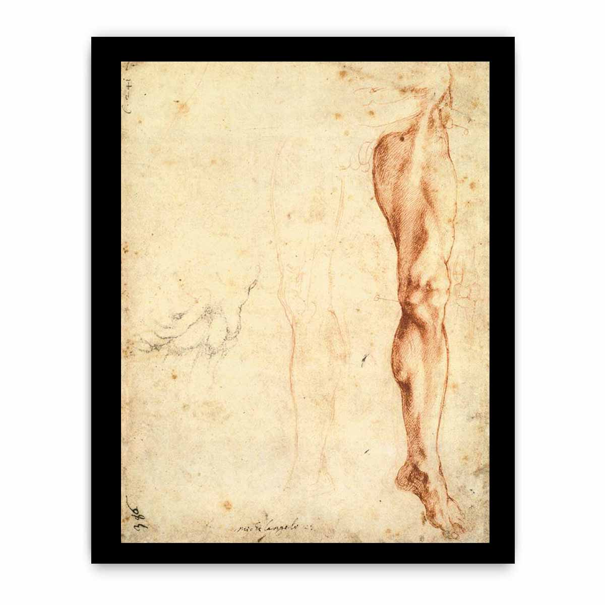 Study of a Left Male Leg (verso), 1515-20 By Michelangelo Buonarroti