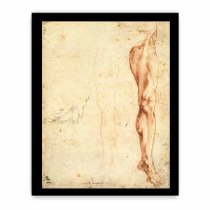 Study of a Left Male Leg (verso)