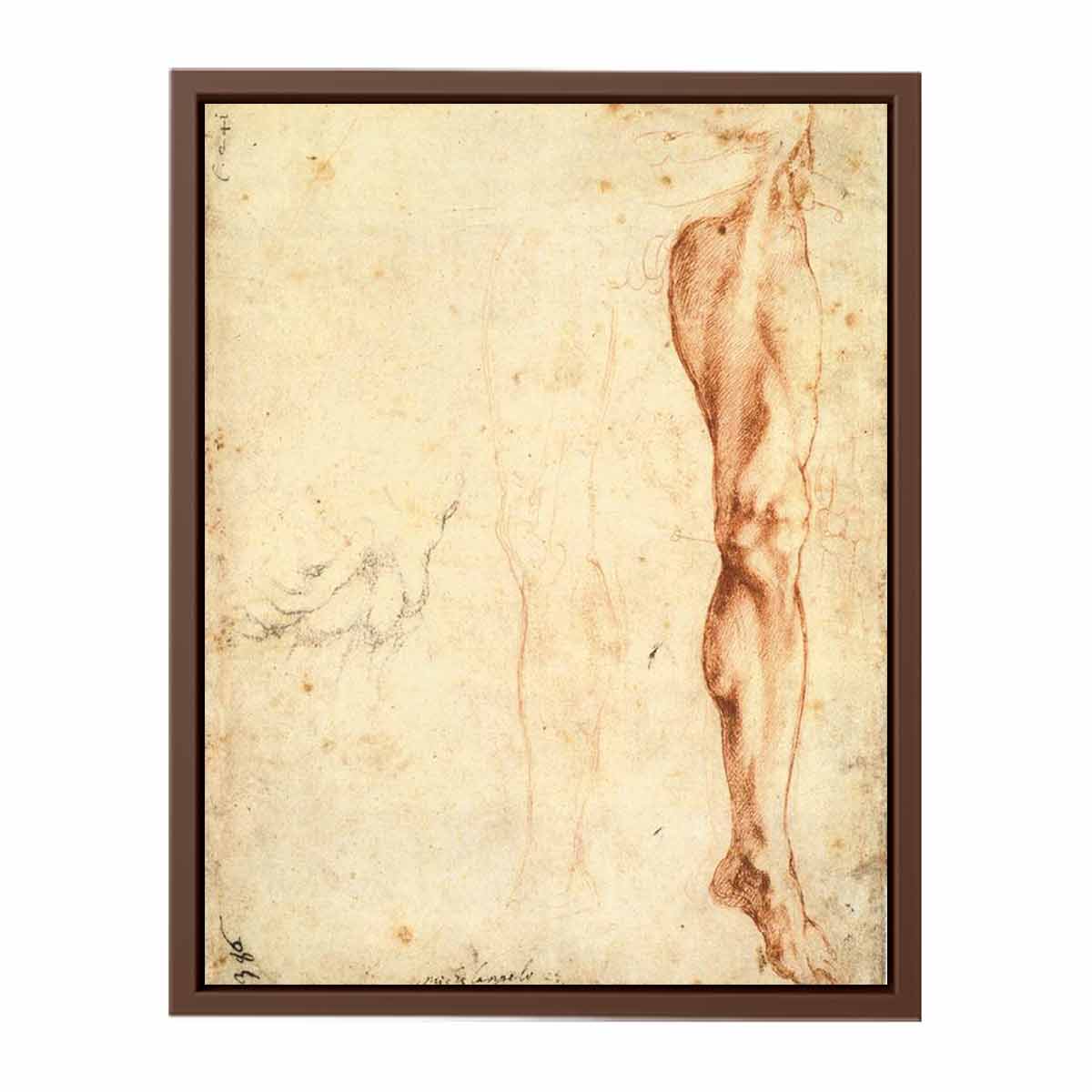 Study of a Left Male Leg (verso), 1515-20 By Michelangelo Buonarroti