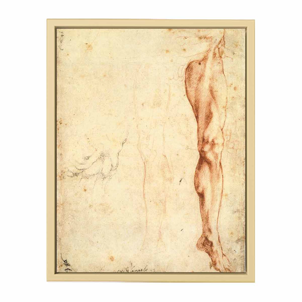 Study of a Left Male Leg (verso), 1515-20 By Michelangelo Buonarroti