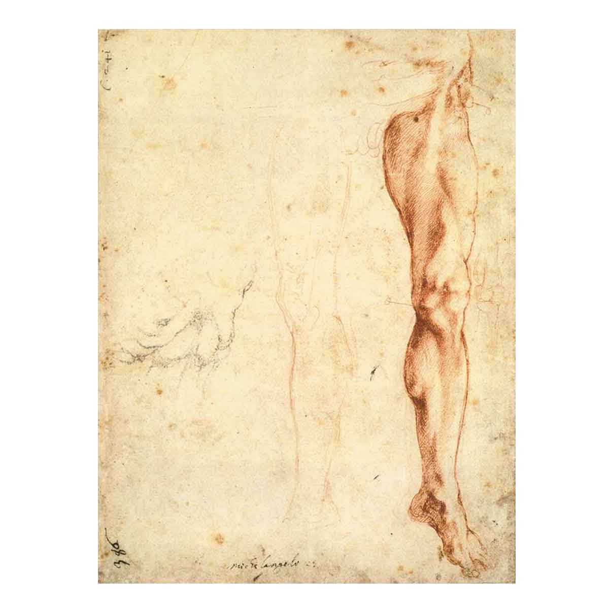 Study of a Left Male Leg (verso), 1515-20 By Michelangelo Buonarroti