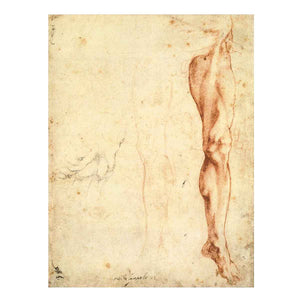 Study of a Left Male Leg (verso), 1515-20 By Michelangelo Buonarroti