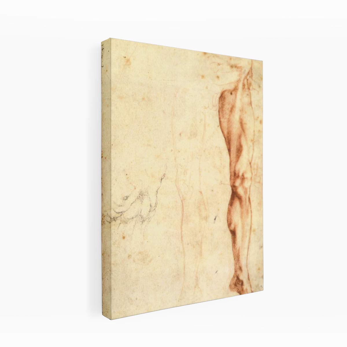 Study of a Left Male Leg (verso), 1515-20 By Michelangelo Buonarroti