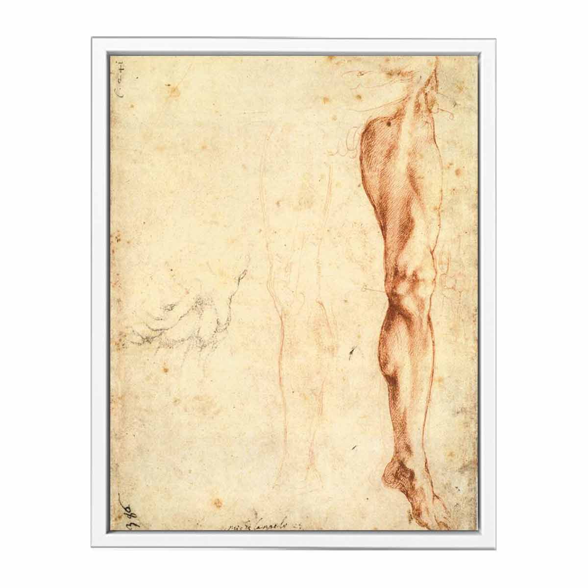 Study of a Left Male Leg (verso), 1515-20 By Michelangelo Buonarroti