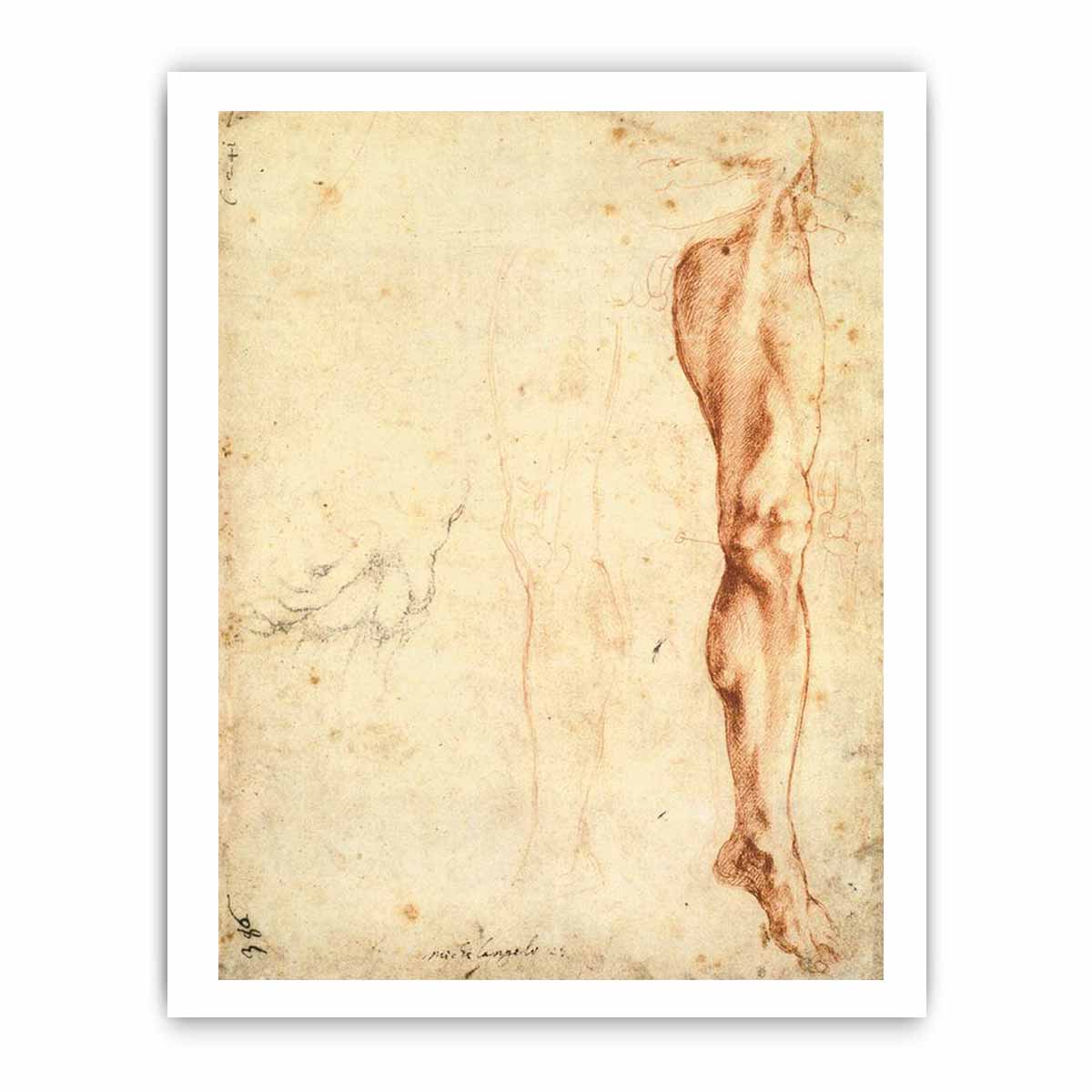 Study of a Left Male Leg (verso), 1515-20 By Michelangelo Buonarroti