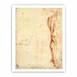 Study of a Left Male Leg (verso), 1515-20 By Michelangelo Buonarroti