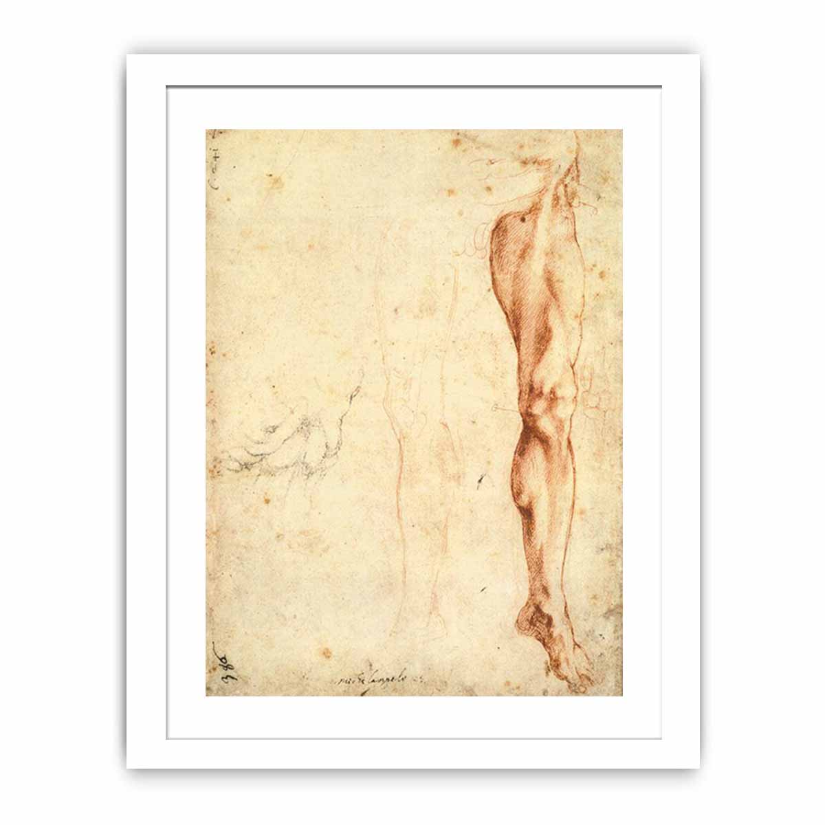 Study of a Left Male Leg (verso), 1515-20 By Michelangelo Buonarroti