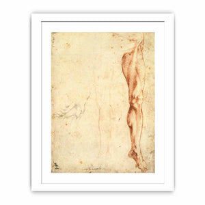 Study of a Left Male Leg (verso)
