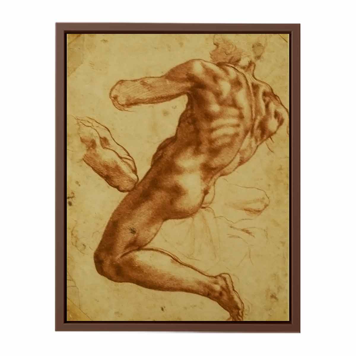 Study of an Ignudo By Michelangelo Buonarroti