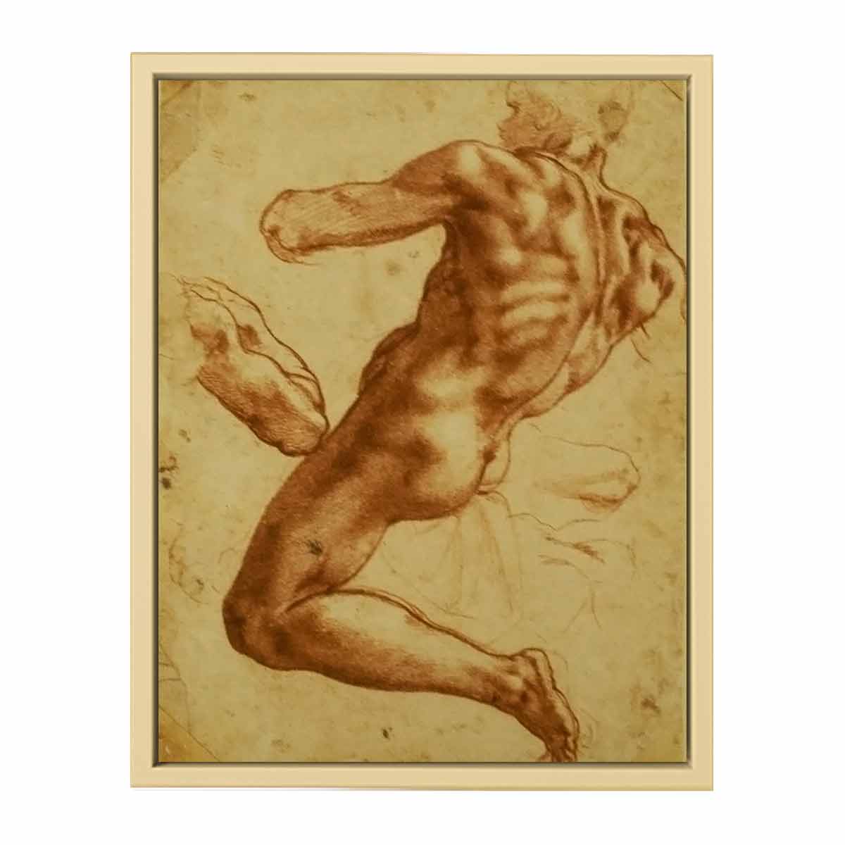 Study of an Ignudo By Michelangelo Buonarroti