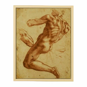 Study of an Ignudo By Michelangelo Buonarroti