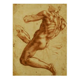 Study of an Ignudo By Michelangelo Buonarroti artwork preview