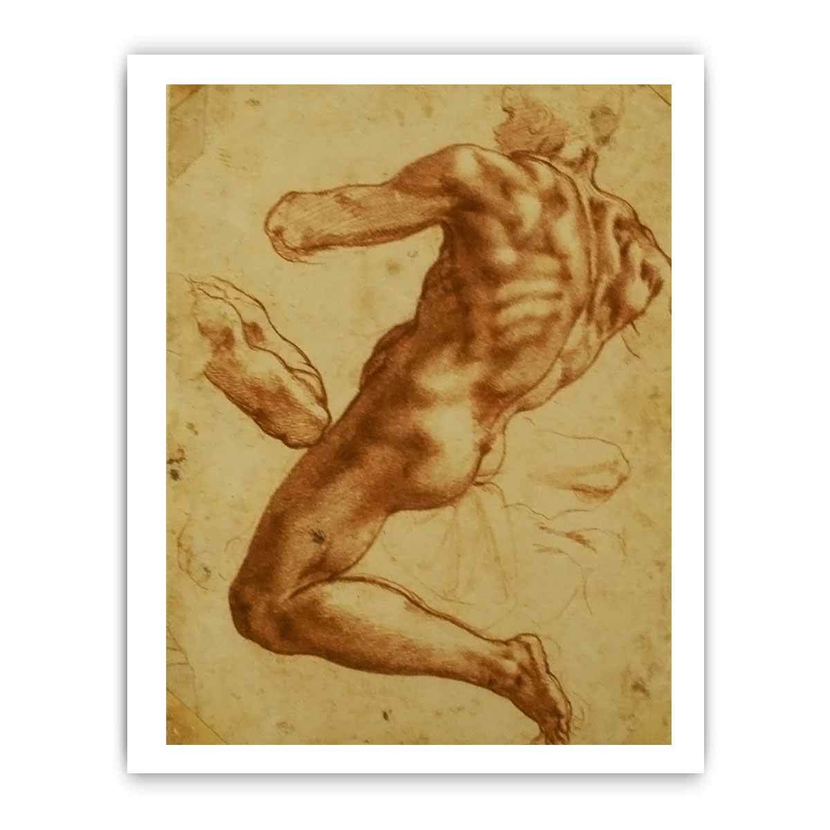 Study of an Ignudo By Michelangelo Buonarroti