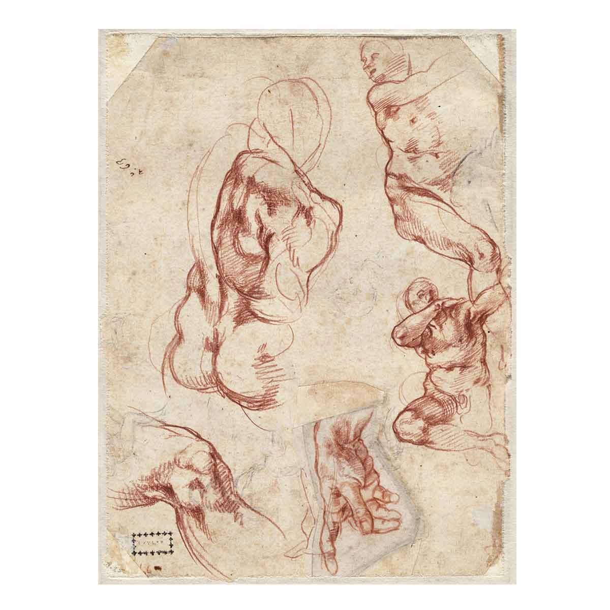 Various figure Studies (verso) By Michelangelo Buonarroti