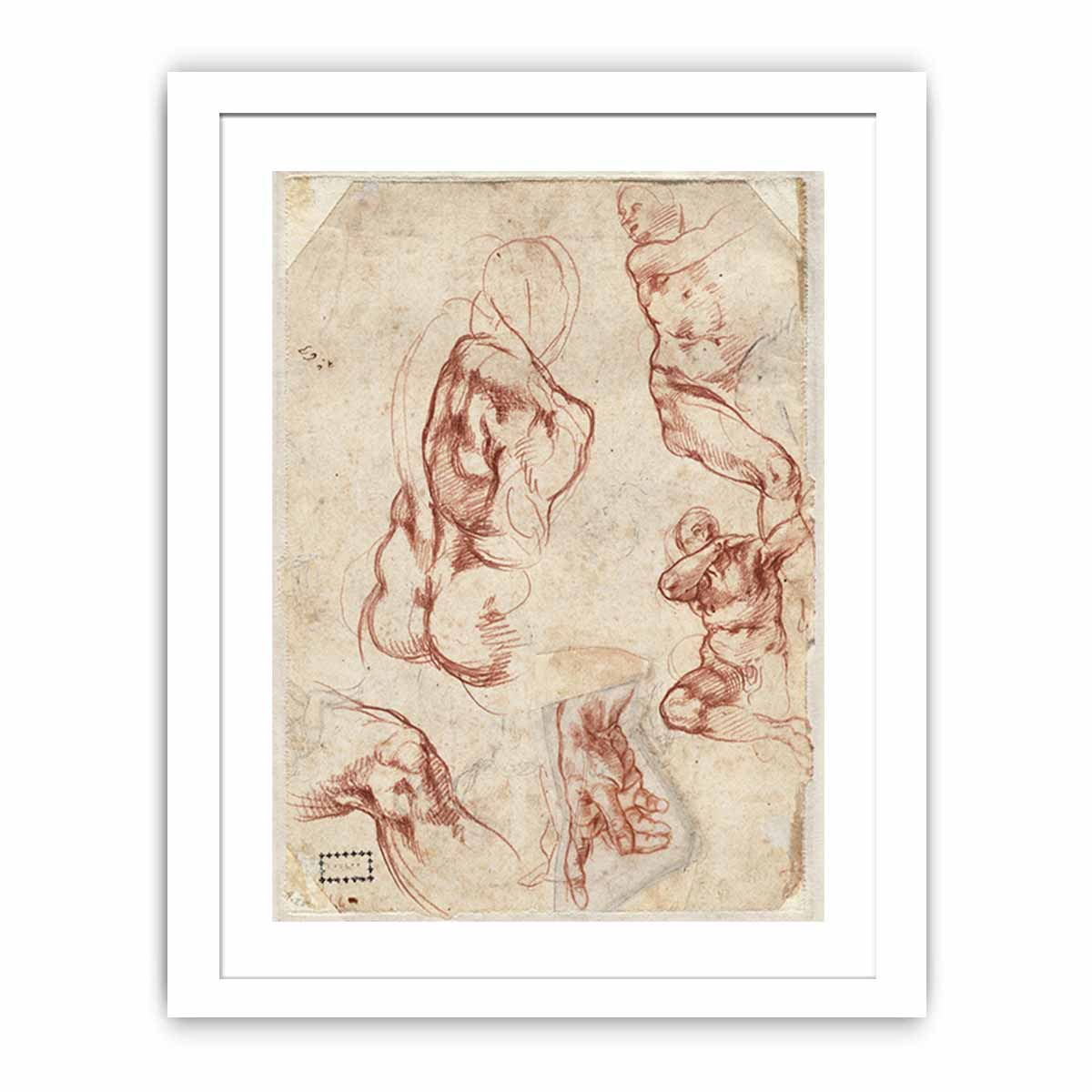 Various figure Studies (verso) By Michelangelo Buonarroti