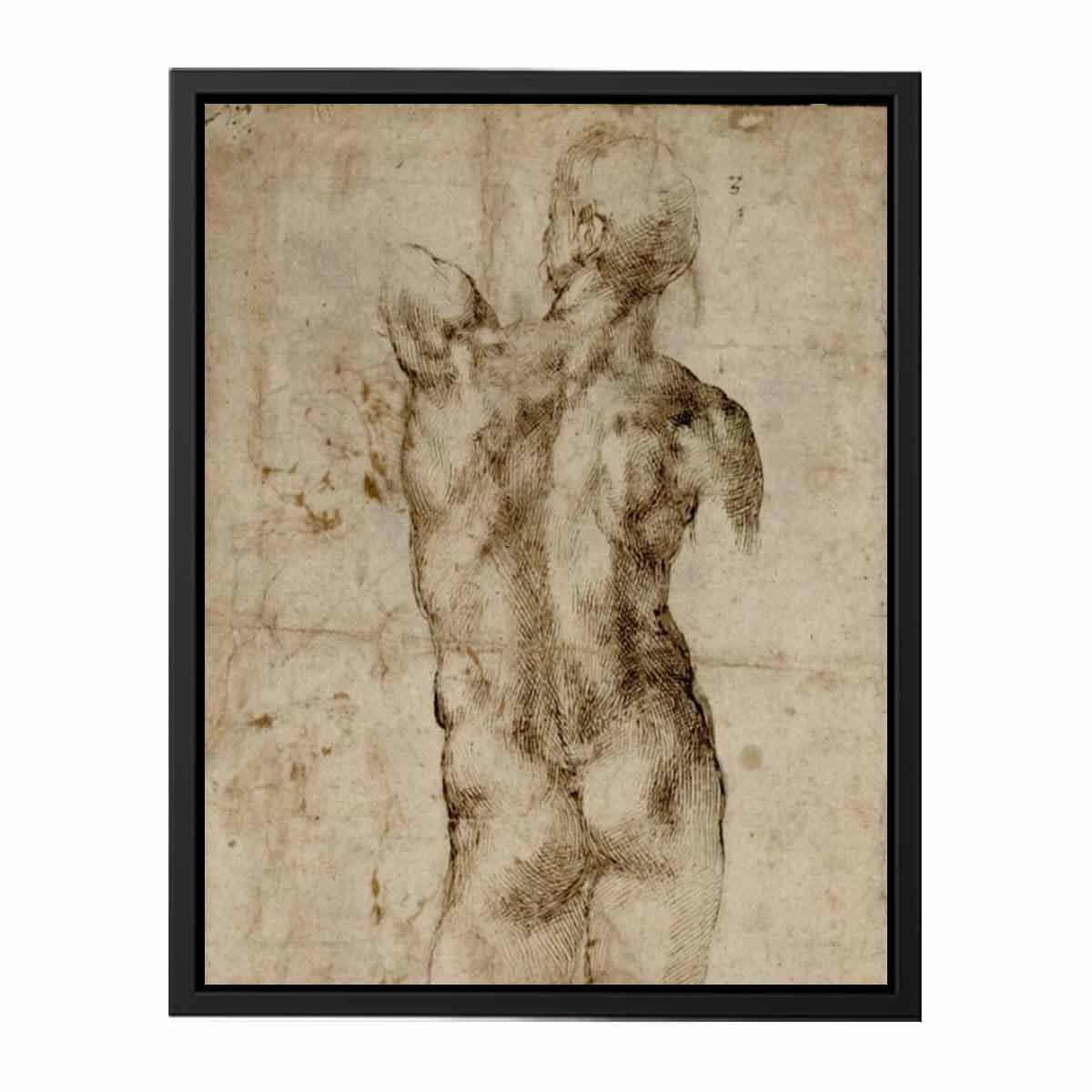 Standing Male Nude, Seen from the Rear (recto) By Michelangelo Buonarroti