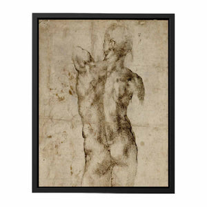 Standing Male Nude, Seen from the Rear (recto)