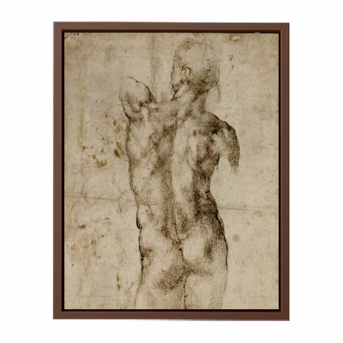 Standing Male Nude, Seen from the Rear (recto)