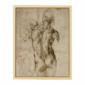 Standing Male Nude, Seen from the Rear (recto)