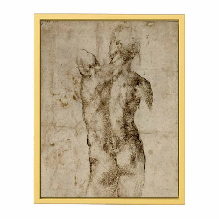 Standing Male Nude, Seen from the Rear (recto)