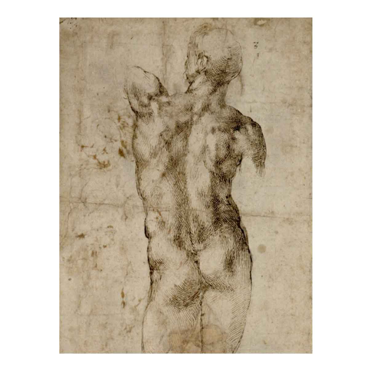 Standing Male Nude, Seen from the Rear (recto) By Michelangelo Buonarroti