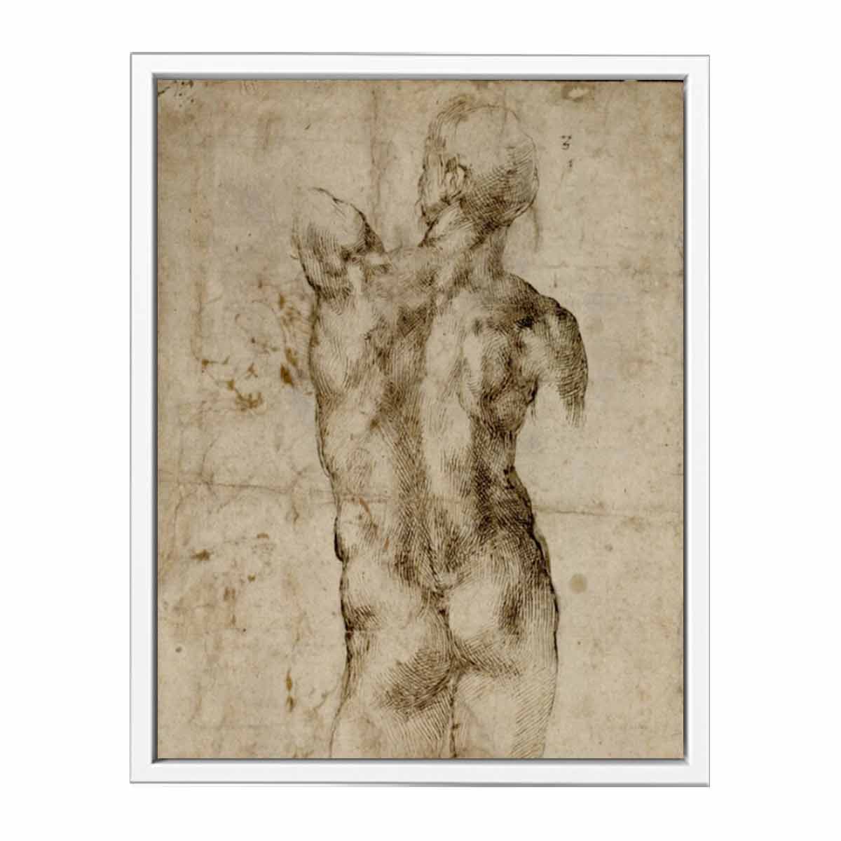 Standing Male Nude, Seen from the Rear (recto) By Michelangelo Buonarroti