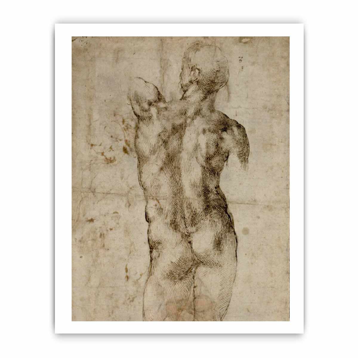 Standing Male Nude, Seen from the Rear (recto) By Michelangelo Buonarroti