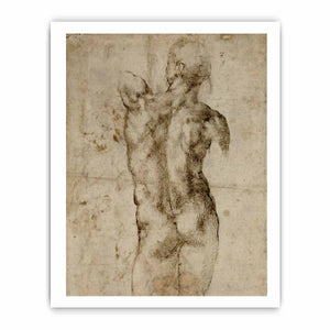 Standing Male Nude, Seen from the Rear (recto) By Michelangelo Buonarroti