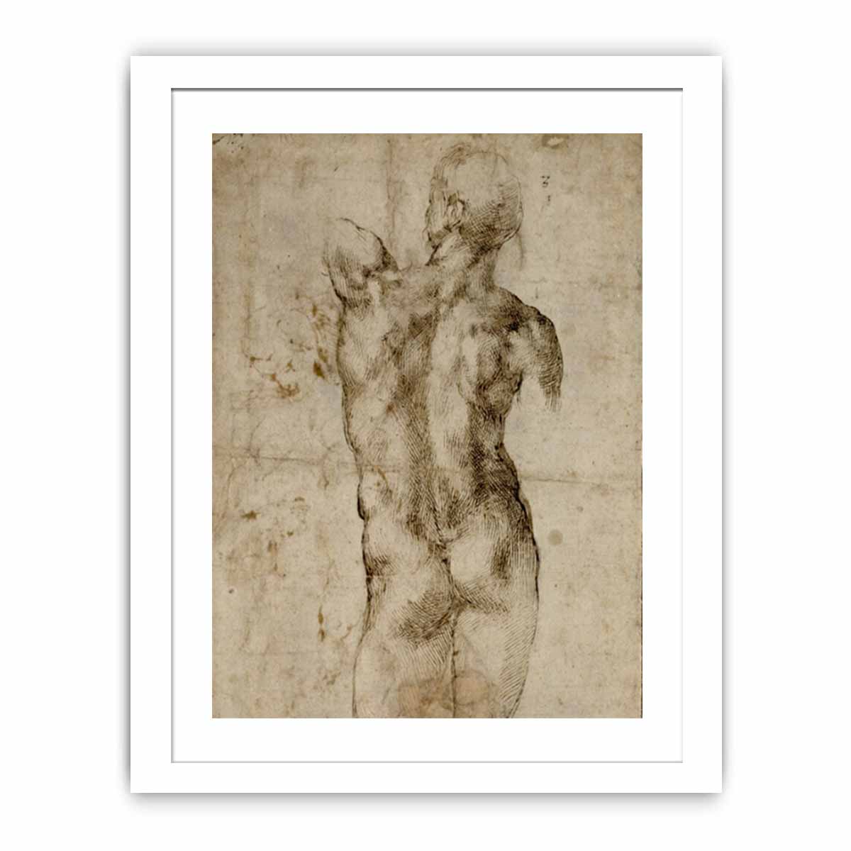 Standing Male Nude, Seen from the Rear (recto) By Michelangelo Buonarroti