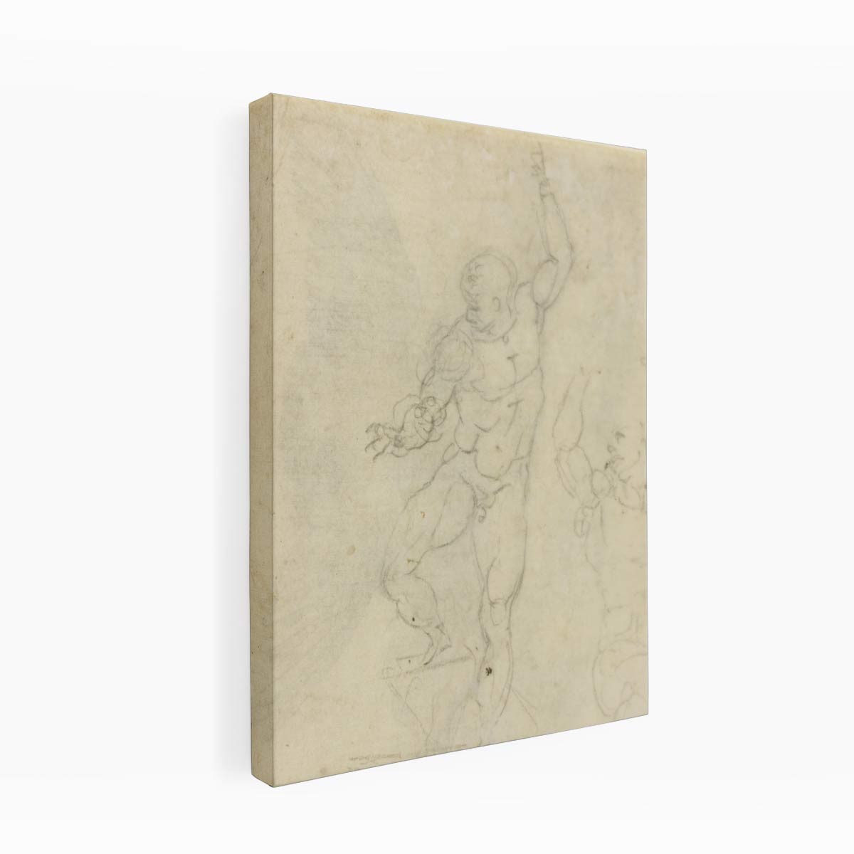 Study for a Risen Christ (verso) By Michelangelo Buonarroti