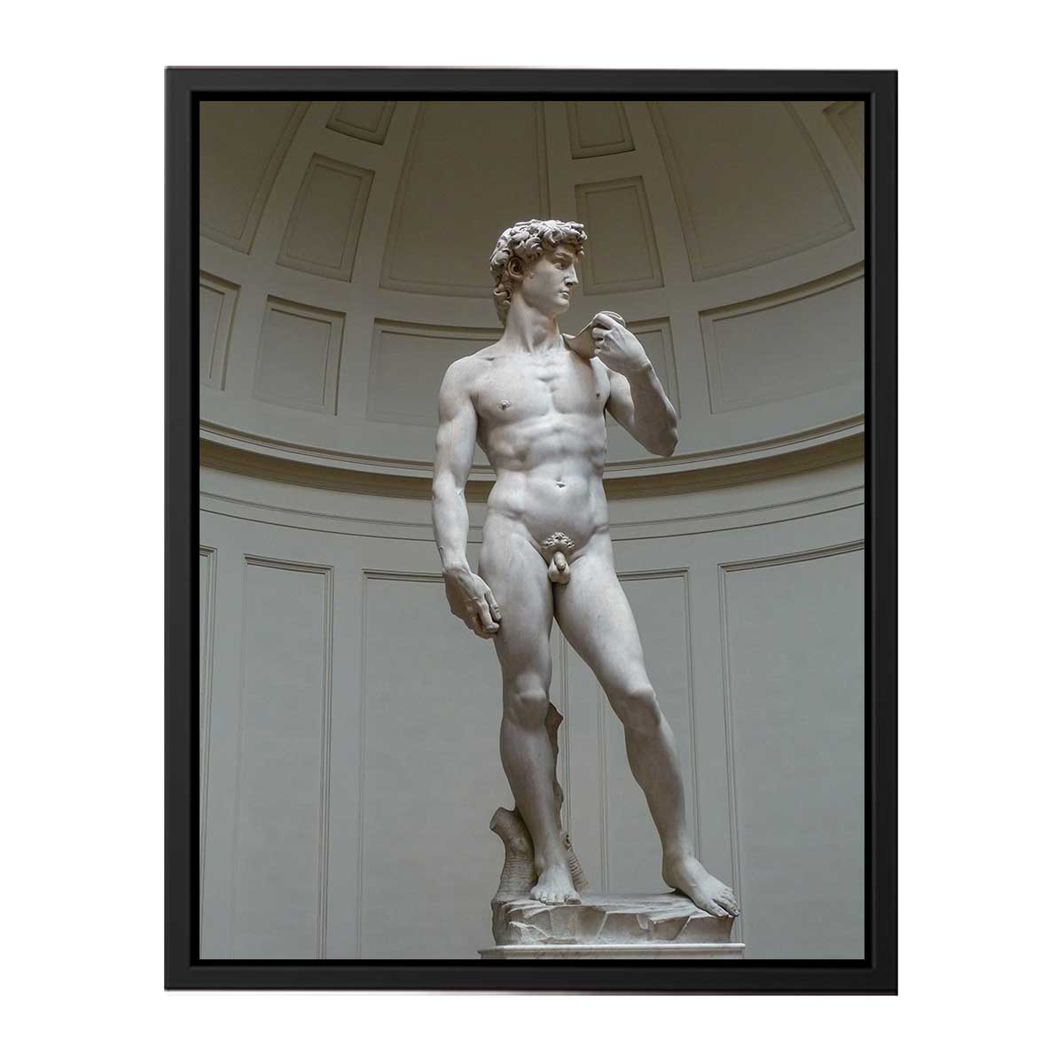 David By Michelangelo Buonarroti