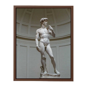David By Michelangelo Buonarroti