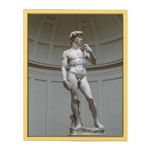 David By Michelangelo Buonarroti