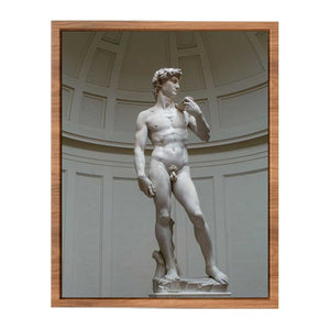 David By Michelangelo Buonarroti
