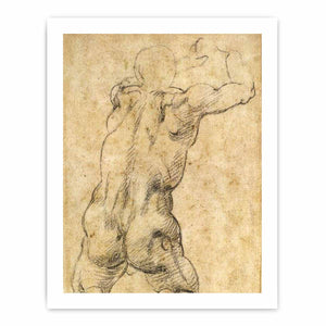Kneeling Male Nude, Seen from the Rear By Michelangelo Buonarroti