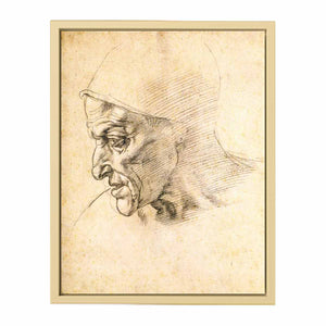 Study for the Head of the Cumeaen Sibyl (recto), 1508-10 By Michelangelo Buonarroti