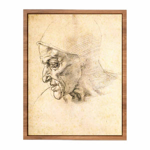 Study for the Head of the Cumeaen Sibyl (recto), 1508-10 By Michelangelo Buonarroti