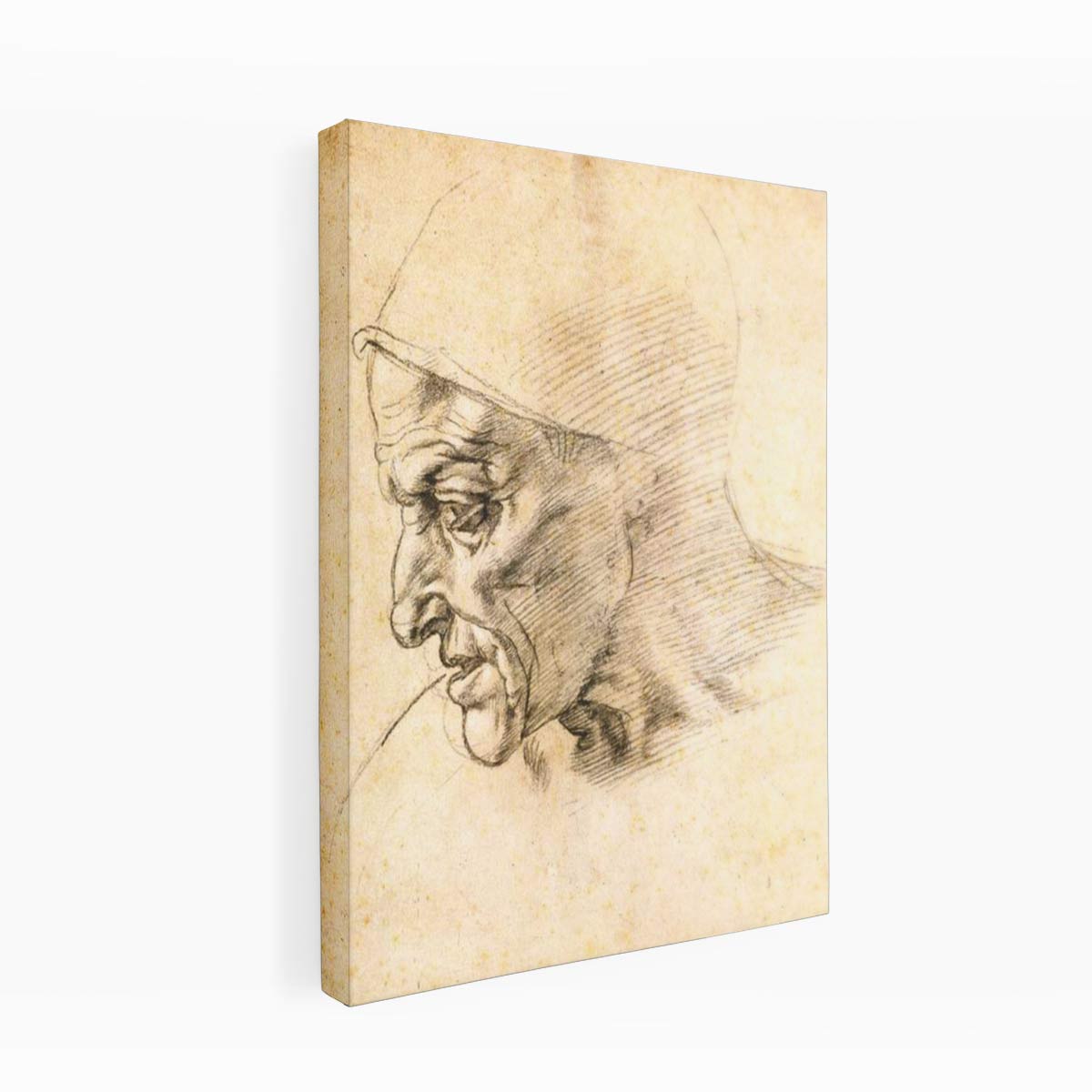 Study for the Head of the Cumeaen Sibyl (recto), 1508-10 By Michelangelo Buonarroti