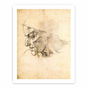 Study for the Head of the Cumeaen Sibyl (recto), 1508-10 By Michelangelo Buonarroti