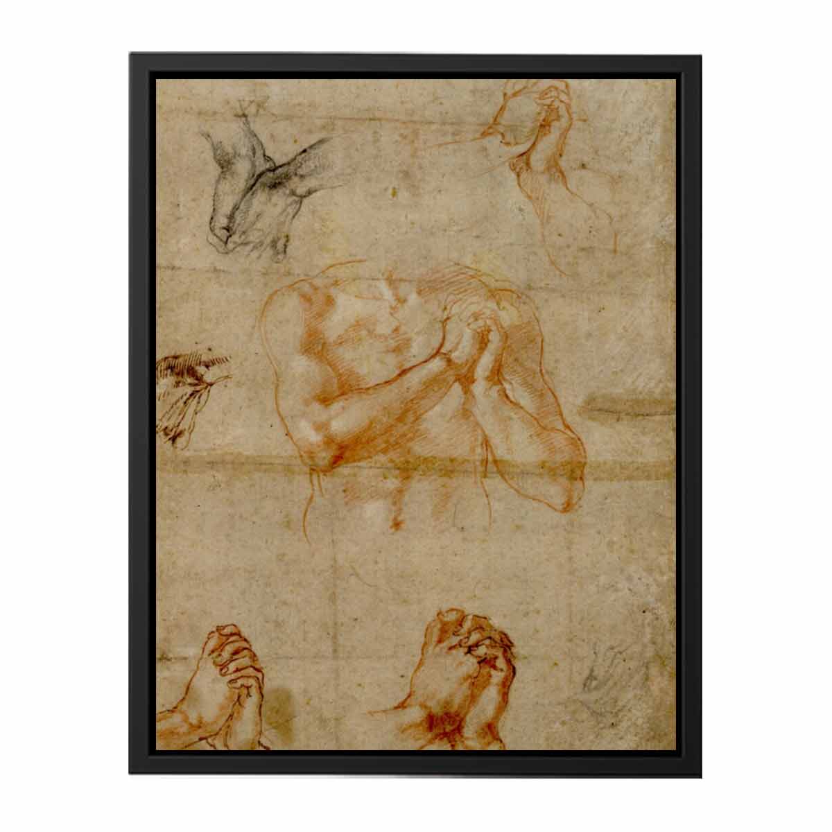Male Upper Body with Folded Hands (verso) By Michelangelo Buonarroti