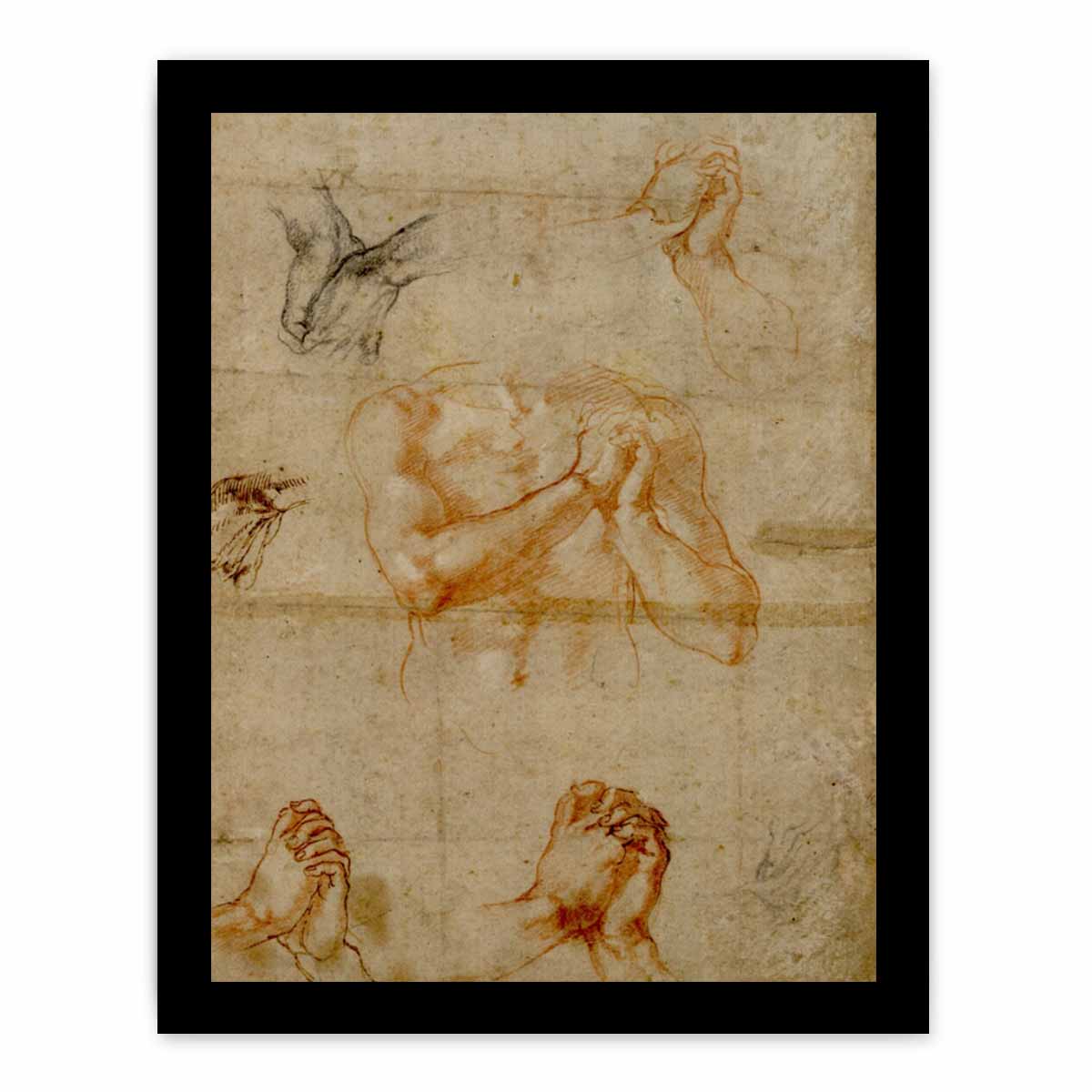 Male Upper Body with Folded Hands (verso) By Michelangelo Buonarroti