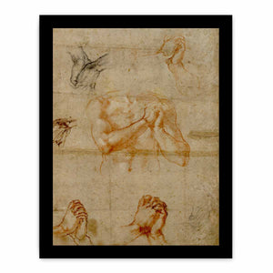Male Upper Body with Folded Hands (verso) By Michelangelo Buonarroti